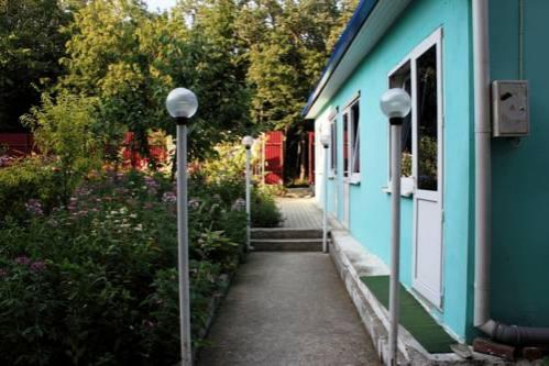 Гостевой дом Гостевой дом FOREST HOUSE Геленджик-11