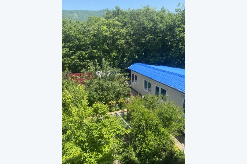 Гостевой дом Гостевой дом FOREST HOUSE Геленджик